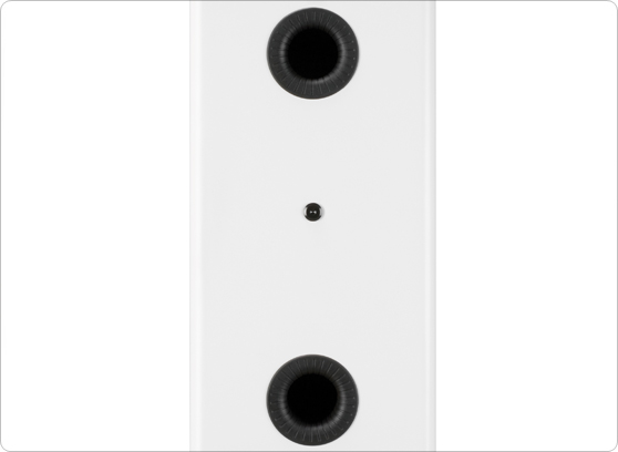 Monitor Audio Gold 300 - cecha 1